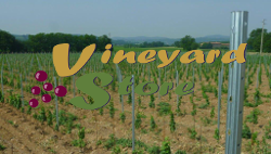 Vineyard Products