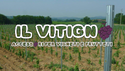 prodotti per vigneti